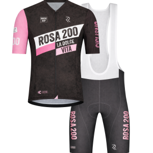 ROSA200 KOMBI Pro-Serie GRAU